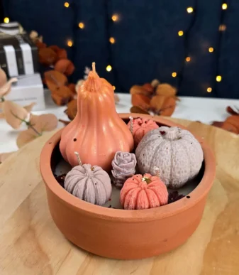 Pumpkin Set in Terracotta Pot